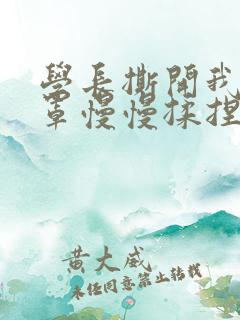 学长撕开我的乳罩慢慢揉捏小说