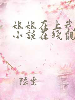 姐姐在上我在下小说在线观看