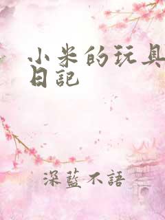 小米的玩具羞辱日记