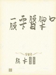 一面膜胸口一面膜下日本