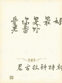 爱你是最好的时光番外