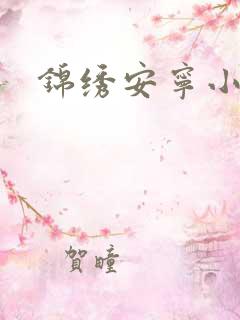 锦绣安宁小说