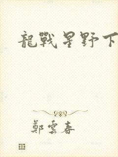 龙战星野下载