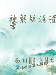 被系统浇灌的日常