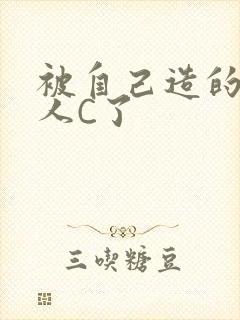 被自己造的机器人C了