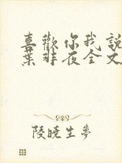 喜欢你我说了算叶非夜全文免费阅读