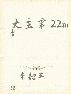 大主宰 22mt