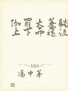 伽罗太华躺在床上下面还流东西