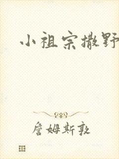 小祖宗撒野