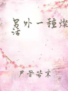 另外一种灿烂生活