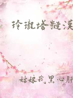 玲珑塔糙汉租客