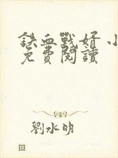 铁血战婿 小说免费阅读