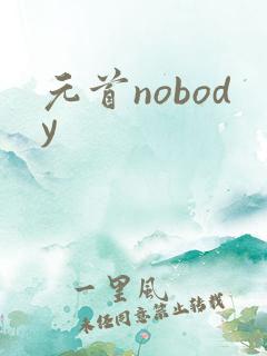 元首nobody