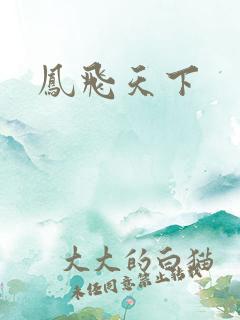 凤飞天下