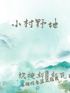 小村野地