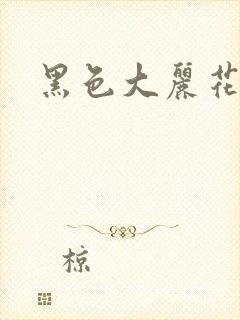 黑色大丽花图片