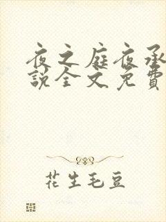 夜之庭夜承欢小说全文免费阅读