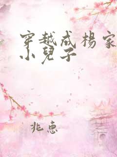 穿越成杨家将最小儿子