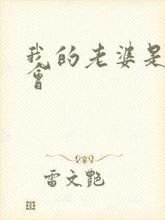 我的老婆是黑社会