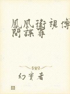 凤凰卫视傅晓甜间谍罪