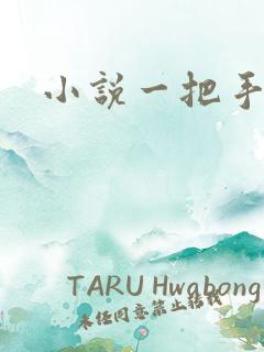 小说一把手