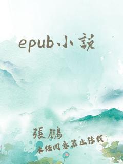 epub小说