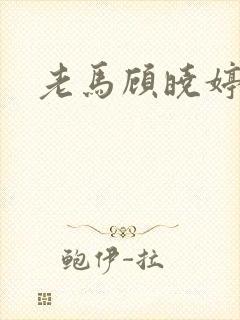 老马顾晓婷小说