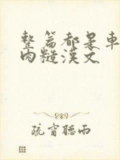 整篇都是车的多肉糙汉文