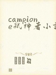 campione弑神者小说
