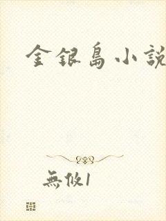金银岛小说