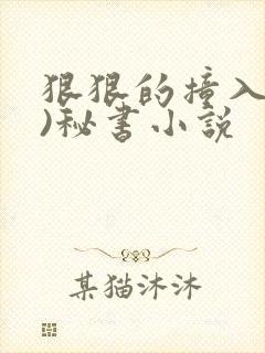 狠狠的撞入(h)秘书小说