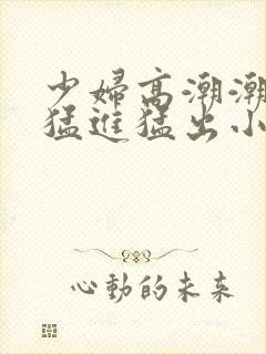 少妇高潮潮喷到猛进猛出小说