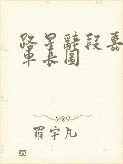 路星辞段嘉衍肉车长图