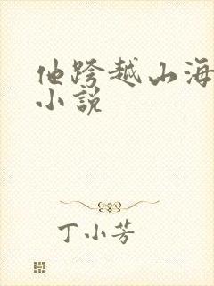 他跨越山海而来小说