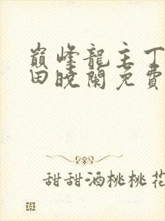 巅峰龙主丁长顺田晓兰免费阅读