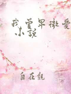 我曾卑微爱过你 小说