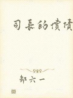 司长的偿债新娘