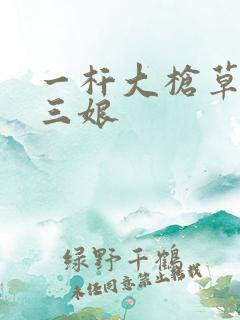一杆大枪草一家三娘
