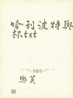 哈利波特与火焰杯txt