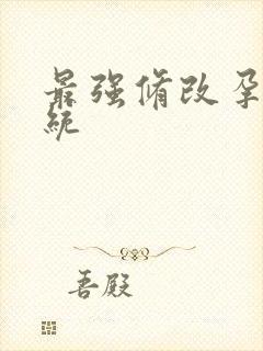 最强修改孕妇系统