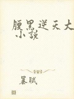 腹黑逆天大小姐 小说