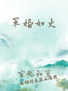 军婚如火