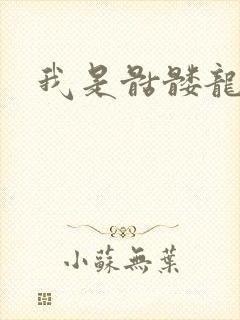 我是骷髅龙骑兵