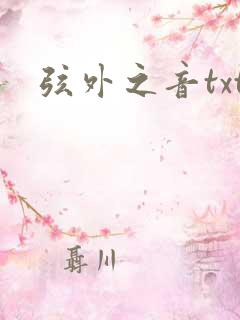 弦外之音txt