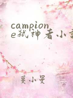campione弑神者小说