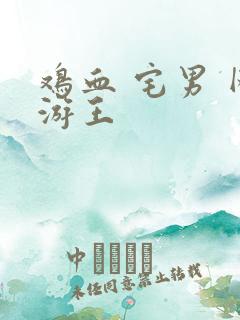 鸡血 宅男 网游王