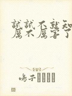 试试不就知道我厉不厉害了