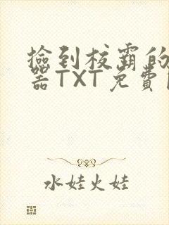 捡到校霸的遥控器TXT免费阅读