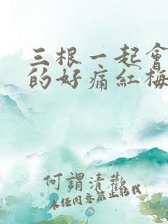 三根一起会坏掉的好痛红梅