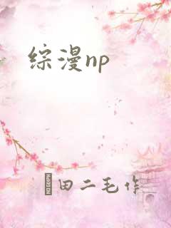 综漫np